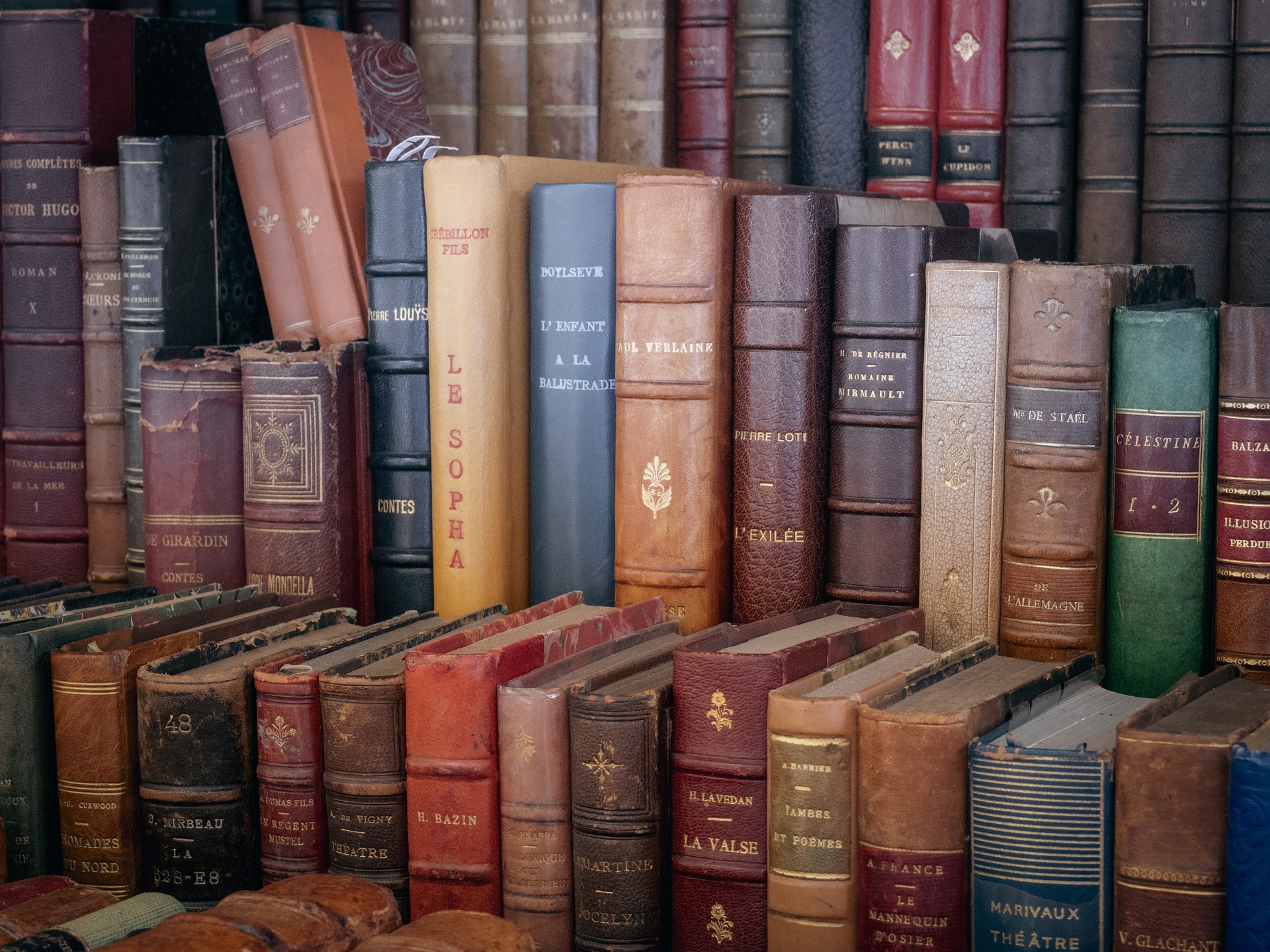 Library shelves filled with books
